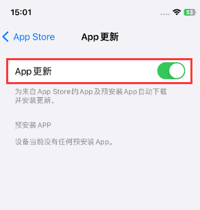 金波乡苹果15维修中心如何让iPhone15APP自动更新